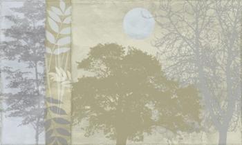 Tree Language II | Obraz na stenu