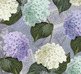 Hortensia Lavenders | Obraz na stenu