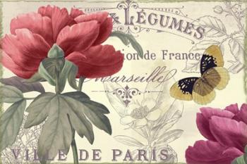 Petals of Paris V | Obraz na stenu