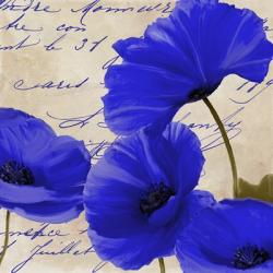 Coquelicots Bleues I | Obraz na stenu