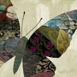 Butterfly Brocade IV | Obraz na stenu