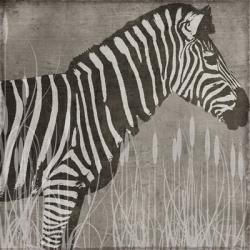 Zebra | Obraz na stenu