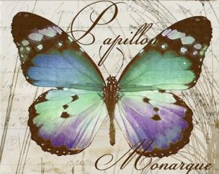 Papillon I | Obraz na stenu