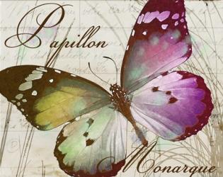 Papillon II | Obraz na stenu