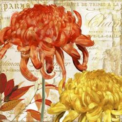 Chrysanthemes I | Obraz na stenu