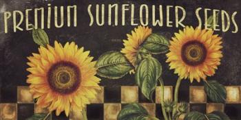 Sunflowers | Obraz na stenu