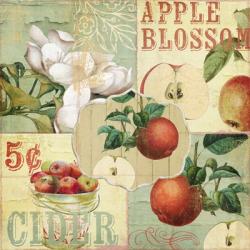 Apple Blossoms I | Obraz na stenu