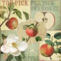 Apple Blossoms II | Obraz na stenu