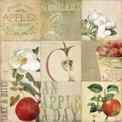 Apple Blossoms III | Obraz na stenu