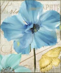 Blue Mountain Poppy | Obraz na stenu