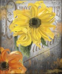 Sunflower Studio | Obraz na stenu