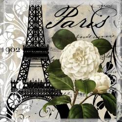 Paris Blanc I | Obraz na stenu