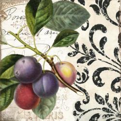 Les Fruits Jardin III | Obraz na stenu