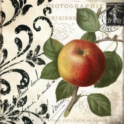 Les Fruits Jardin IV | Obraz na stenu