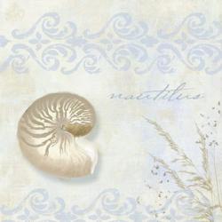She Sells Seashells I | Obraz na stenu