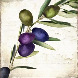 Olive Branch III | Obraz na stenu