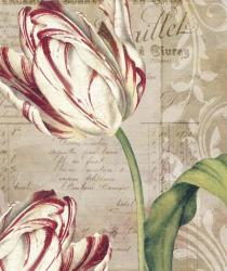 Tulips | Obraz na stenu