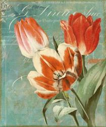 Tulips Ablaze II | Obraz na stenu