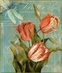 Tulips Ablaze III | Obraz na stenu