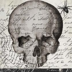 Halloween Skull | Obraz na stenu