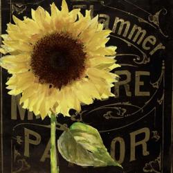Sunflower Salon I | Obraz na stenu
