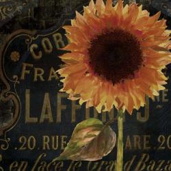 Sunflower Salon II | Obraz na stenu