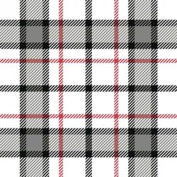 Plaid White | Obraz na stenu