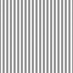 Grey Stripes | Obraz na stenu
