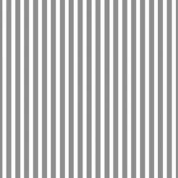Grey Stripes | Obraz na stenu