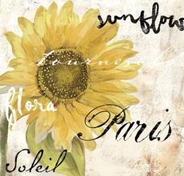 Paris Songs I | Obraz na stenu