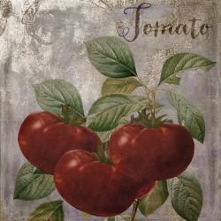 Medley Gold Tomato | Obraz na stenu