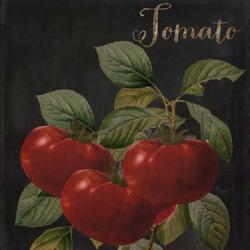 Medley Tomato | Obraz na stenu