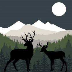 Deer Path Moon | Obraz na stenu
