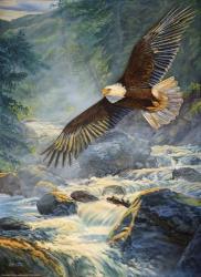 American Majesty | Obraz na stenu
