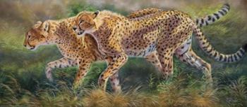 March Of The Cheetahs | Obraz na stenu