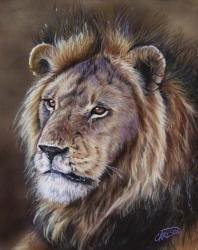 Black-Maned Lion | Obraz na stenu