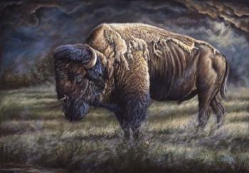 Spirit Of The Plains (Bison) | Obraz na stenu
