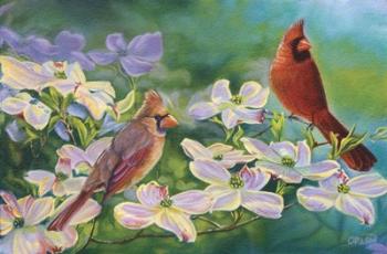 Cardinals Of Spring | Obraz na stenu