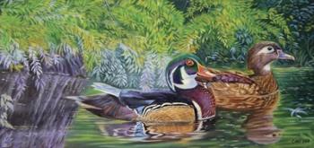 Bayou Wood Ducks | Obraz na stenu