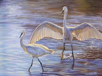 Light Dance (Snowy Egrets) | Obraz na stenu