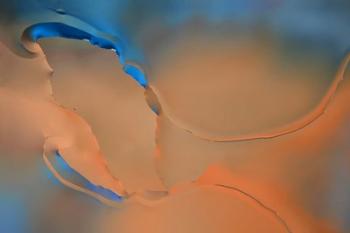 Blue and Orange Flow | Obraz na stenu