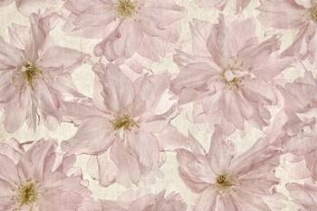 Vintage Blossom | Obraz na stenu