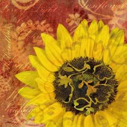 Sunflower - Love of Light | Obraz na stenu