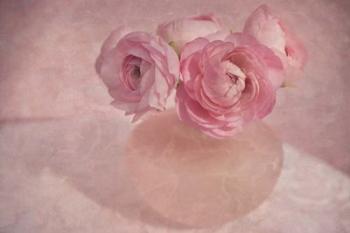 Pink Ranunculus Bouquet | Obraz na stenu
