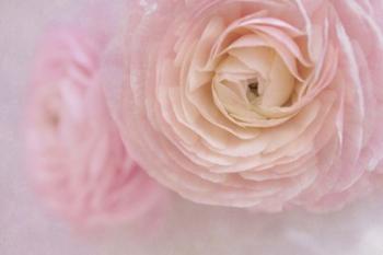 Soft Pink Flower Bouquet | Obraz na stenu