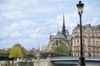 Ile de la Cite | Obraz na stenu