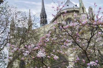 Notre Dame de Paris III | Obraz na stenu