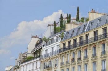 Paris' Roof Gardens | Obraz na stenu