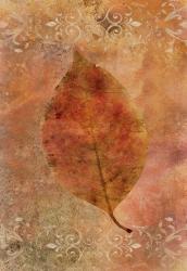 Picked Up Autumn Leaf I | Obraz na stenu