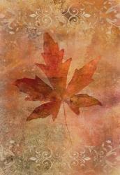 Picked Up Autumn Leaf II | Obraz na stenu